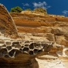 Tasmania - Maria Island o6459